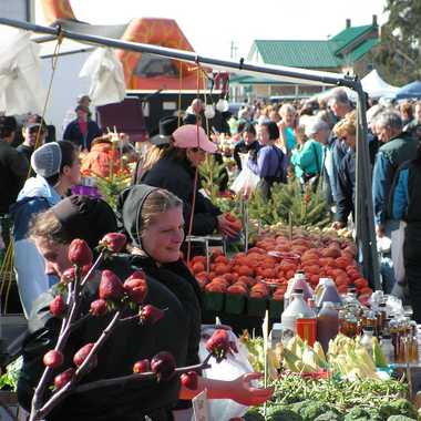 Photo: A tomato stand.