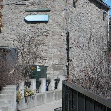 Photo: Path along Grand River.